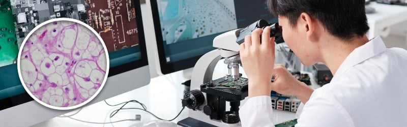 Microscopy Techniques